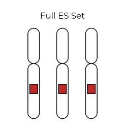 Trisomy 18