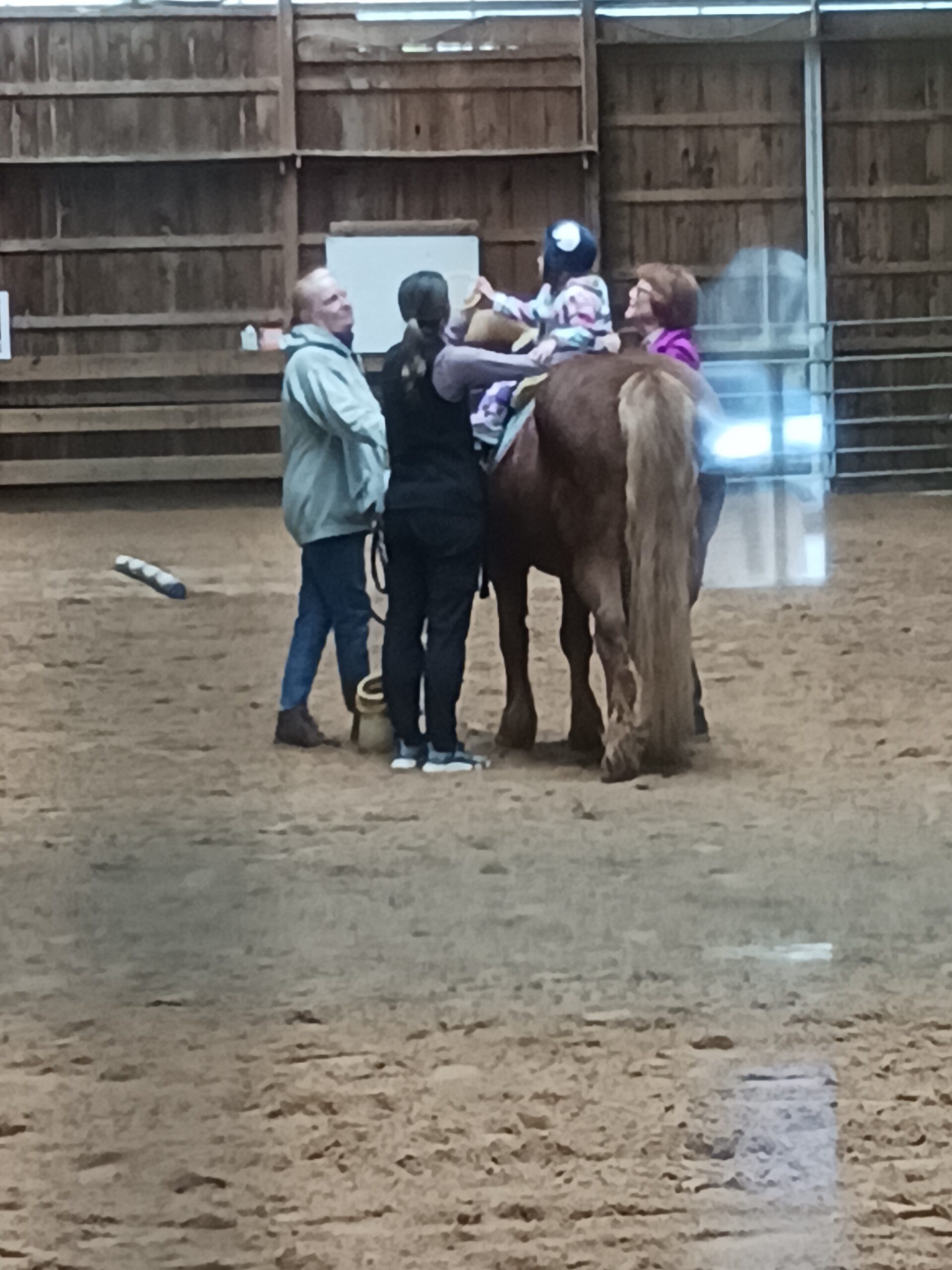 hippotherapy